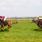 Horse Racing at Ayr